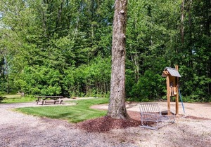Heron's Nest I Paw Paw Lake Cottages I Ontario #4