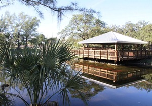 Hidden Gem! 3 Awesome Units, Pets Allowed and On-site Pool, Near Bayfront Park!