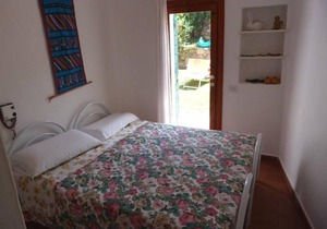 House with garden