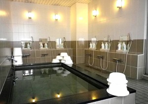 Business Hotel Otakaya