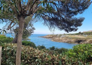 LA CALANQUE 263