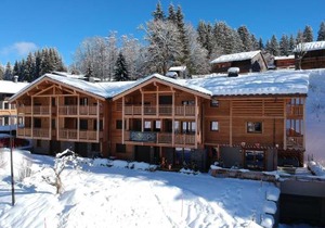 Les Gets - Bel appartement avec balcon et cheminée près des pistes - FR-1-623-3