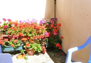 Les Sables d'Olonne, 100m from the sea, ground floor house with sunny courtyard. (2 *)