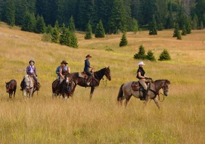 Linden Tree Retreat & Ranch