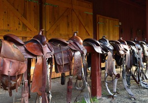 Linden Tree Retreat & Ranch