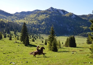 Linden Tree Retreat & Ranch