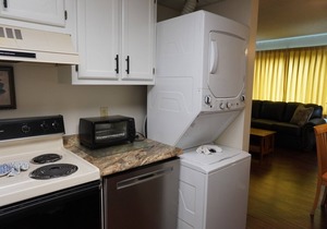 Little Pigeon River 508 2BD Condo with Fireplace and Jacuzzi Tub