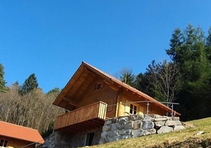 Log cabin Douglas fir, max. 4 persons