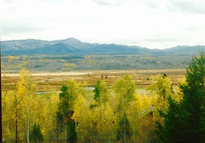 Log Home Overlooking the Buffalo Valley, Family Holiday Pricing Promotions