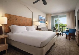 Marriott's Canyon Villas - Studio Owner Direct