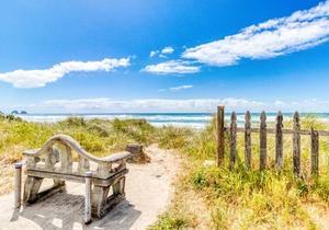 Modern Dog-Friendly Cottage in a Great Location - Minutes to Downtown & Beach