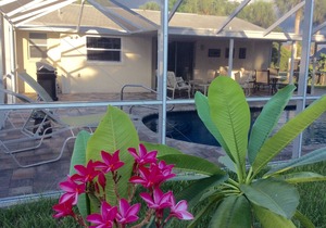 Peaceful Venice Pool Home convenient to several Beaches