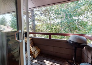 Pet-Friendly, Centrally Located in Town! Summer Pool On-Site, Near Trowley