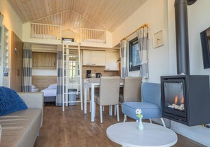 Pet-Friendly Getaway in North Holland