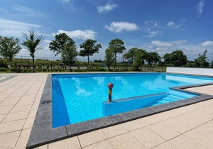 Pet-Friendly Getaway in North Holland
