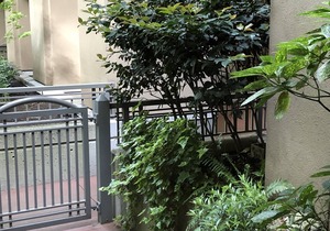 Private West Coast Townhouse Downtown in Coal Harbour - Walk to MAJOR INTERNATIONAL SPORTING EVENT