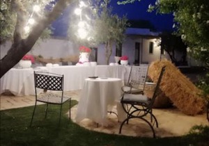 Room in BB - Ancient Masseria near the sea in a quiet olive trees Elegant and familiary ambi