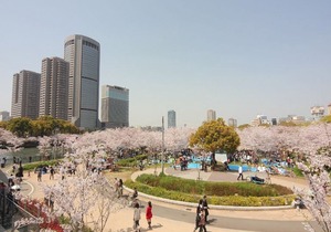 Sakura Garden Hotel