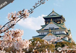 Sakura Garden Hotel