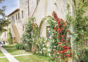 Sanlucchese 4