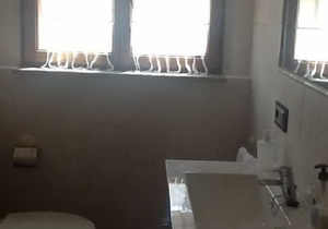 Self catering Arribes La Corredera for 4 people