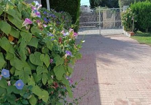 Sottovento Marzamemi Rooms&Relax