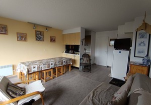 Spacious apartment for 7 near slopes, pets allowed