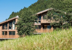 Spacious chalet for 12 people in megeve