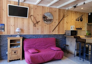 Spacious studio near the slopes with balcony
