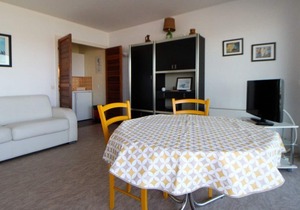 Spacious studio sea view with terrace and pets allowed