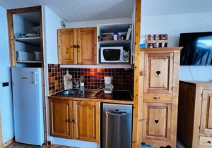 Studio cabin in Les Saisies, south facing, pets allowed