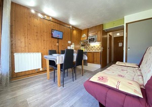 Studio cabine à Praz-sur-Arly, vue sur pistes - 4 pers, parking, balcon, proche village et ski - FR-1-603-11
