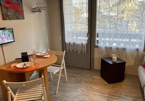 Studio cosy au centre de Samoëns, 4 pers, proche commodités - FR-1-629-65