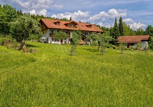 Studio Vogelsang with morning sun