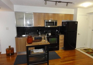 Stunning 1BR Condo in Great Downtown Location!