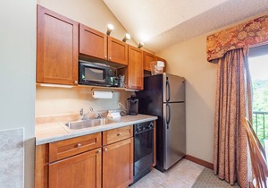 Suites at Silver Tree: A313 Studio & Loft Lake View