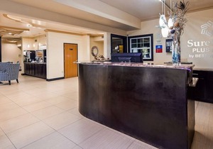 SureStay Plus Hotel By Best Western San Antonio North 281 N