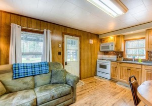 Swallow Falls Cabin #2