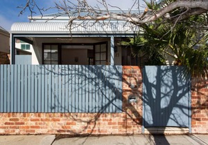 Sweetgum on Lefroy - South Fremantle