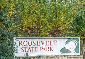 Tentrr State Park Site - Mississippi Roosevelt State Park - Tall Trees D - Sing