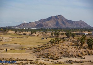 Terrazas de la torre 432