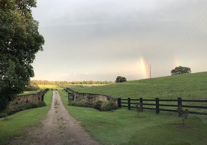 The Glen