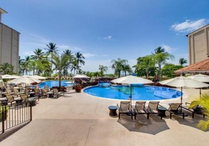 The Palms 603