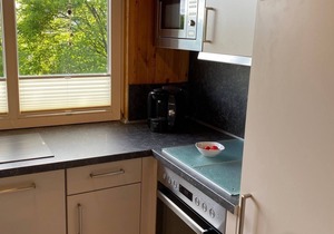 Vacation home for 5 guests with 74m² in Extertal (163014)