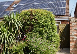 Walnut Cottage - The Chestnuts Holiday Cottages
