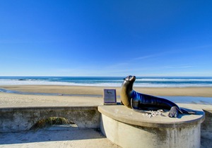 Welcoming Studio with Ocean View & Nearby Beach Access - Dogs OK