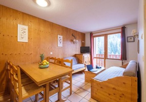 Wifi, 50m from shops, fitness, sauna, tv, ski locker, 36m², Val Cenis