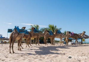 Yak Beach Hotel Natal