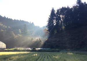 Yamabitoan