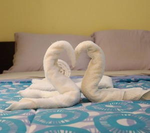Budget Cozy 